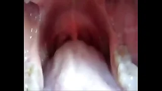 mouth