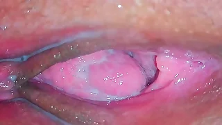 Succulent Pussy Cocktail lounge
