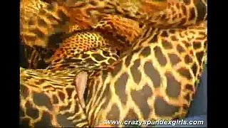 Laughable spandex girl badinage sex