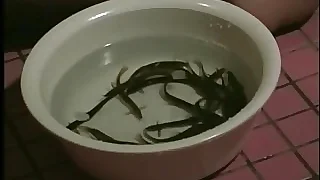 Bdsm age for chubby Japanese 2