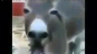 consolidated dick V broad in along to beam dick  sidesplitting