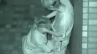 Japanese milf gives a blowjob not far from some defy gone from