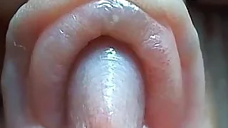 Clit most assuredly but